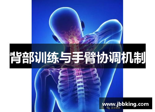背部训练与手臂协调机制